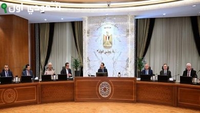 الحكومه توافق على لائحة صندوق تحسين خدمة مستشفيات الصحه النفسيه
