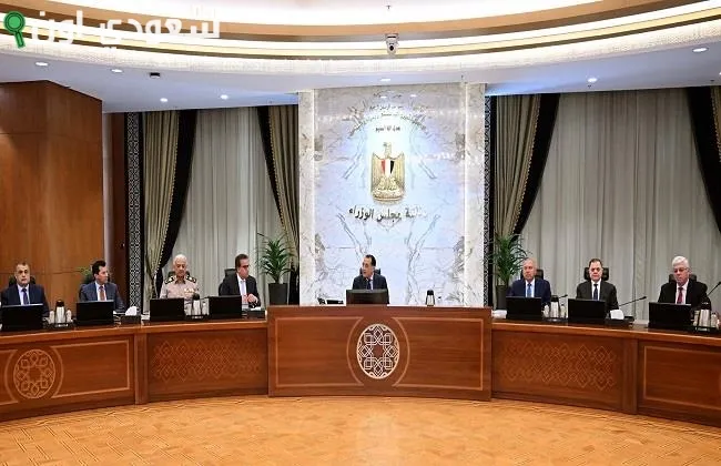 الحكومه توافق على لائحة صندوق تحسين خدمة مستشفيات الصحه النفسيه