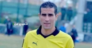 محمود ناجي