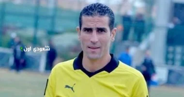 محمود ناجي