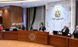 مجلس الوزراء يوافق على طلب محافظة الجيزة