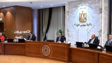 مجلس الوزراء يوافق على طلب محافظة الجيزة
