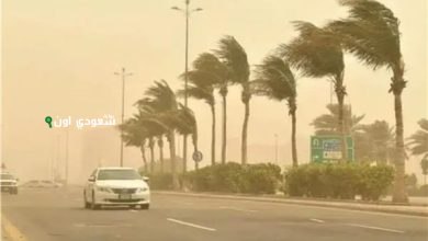 نشاط رياح وأتربة مثارة تهب على محافظة شرورة