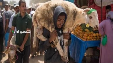 البيئة تحذر المواطنين من شراء الأضاحي من مصادر غير موثوقة ضماناً للجودة والسلامة