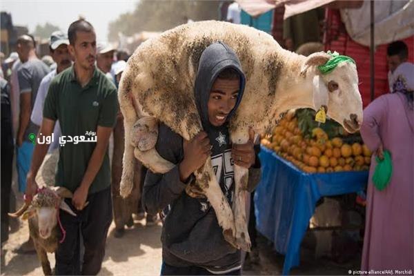 البيئة تحذر المواطنين من