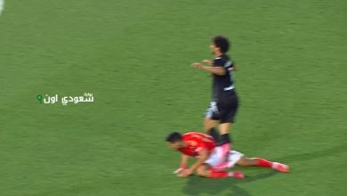 إصابة العش
