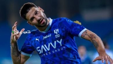 ألكسندر ميتروفيتش