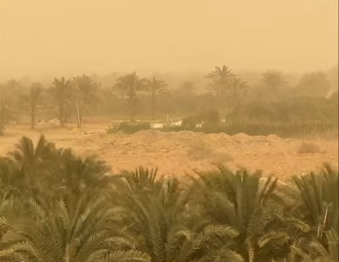 نصائح وزارة الصحة للمواطنين لتفادي آثار المنخفض الجوي الخماسيني