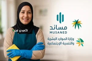 مساند