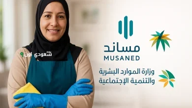 مساند