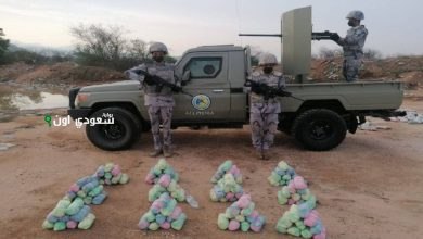 محاولة تهريب 275 كيلو جرام من القات بجازانمحاولة تهريب 275 كيلو جرام من القات بجازان