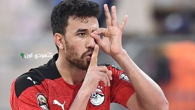 محمود حسن تريزيجيه