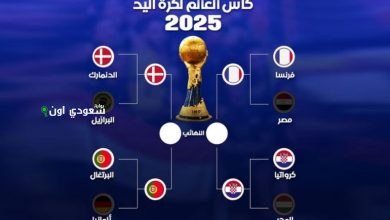 نصف نهائي كأس اليد