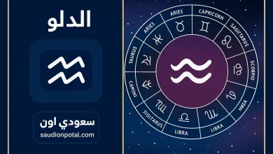 برج الدلو