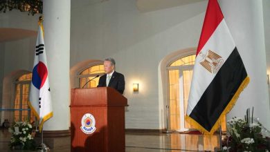 احتفلت مصر وكوريا الجنوبية