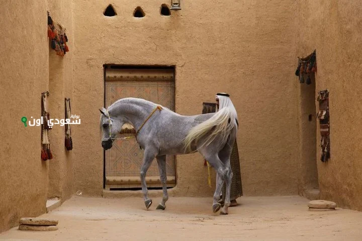 اعتماد عالمي يؤكد خلو