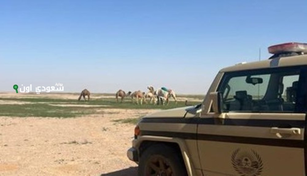ضبط مواطن مُخالف لرعي