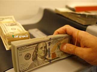 سعر الدولار اليوم الأحد
