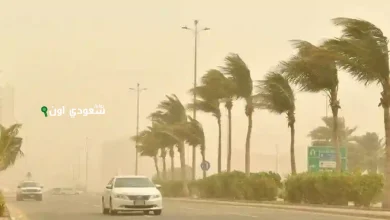طقس الجمعة رياح وأتربة في 7 مناطق مع ارتفاع الحرارة