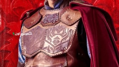 كريم محمود عبد العزيز يتقمص دور شمس الدين