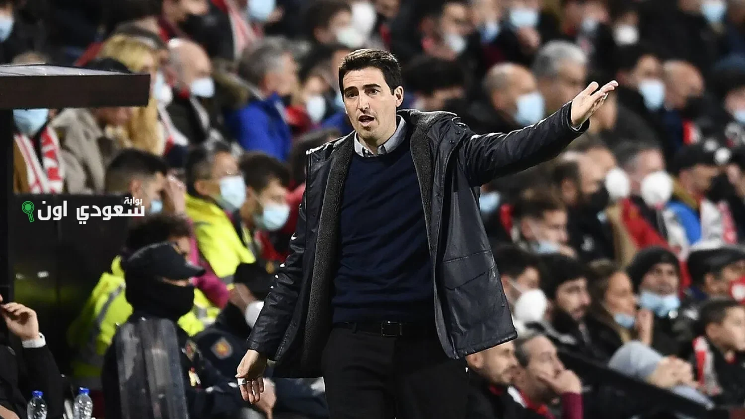 أندوني إيراولا