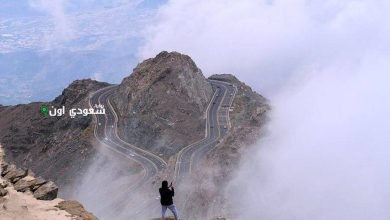 تعديل غرامات الإرشاد السياحي