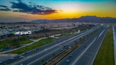 مشروع إنشاء أحدث ميناء للبضائع في مدينة حائل السعودية