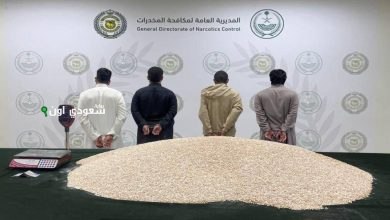 محاولة تهريب كمية ضخمة من العقاقير المخدرة