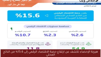 ارتفاع حصة الاقتصاد الرقمي في الناتج المحلي بنسبة 15 6%