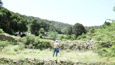 الغطاء النباتي يختتم دراسة شاملة حول الوقاية من حرائق