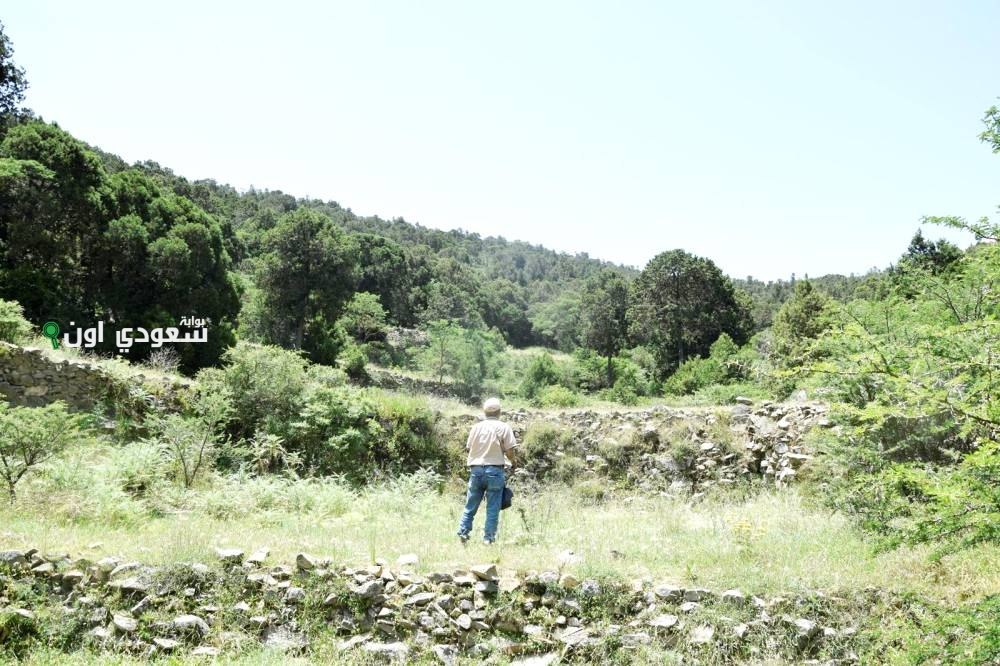 الغطاء النباتي يختتم دراسة