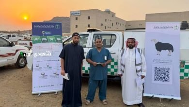 فرع البيئة والمياه والزراعة بجازان