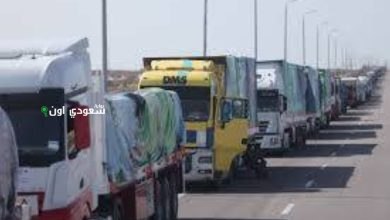 مسؤول أممي: 100% من سكان غزة معرضون لخطر المجاعة
