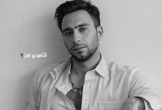 حسام حبيب