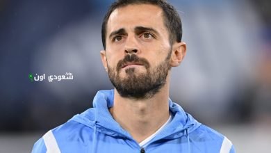 برناردو سيلفا