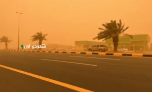 عوالق ترابية وانخفاض الرؤية في منطقة الباحة