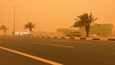 عوالق ترابية وانخفاض الرؤية في منطقة الباحة