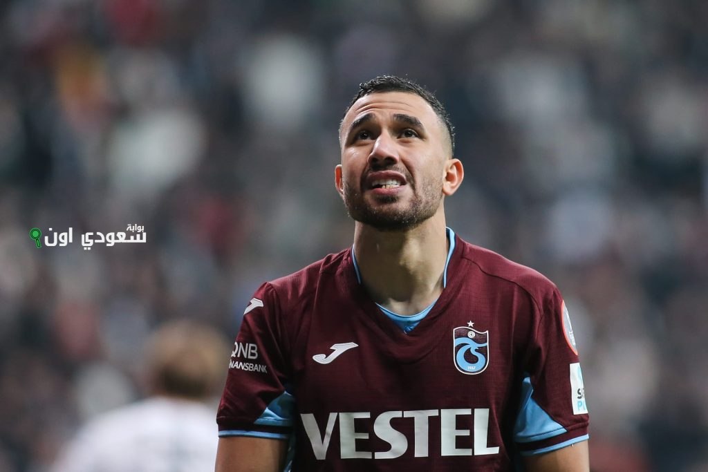 محمود تريزيجيه