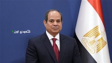 السيسي
