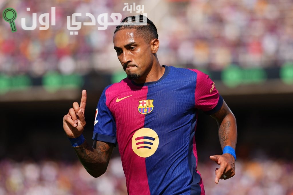 رافينيا