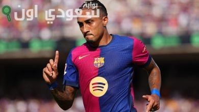 رافينيا