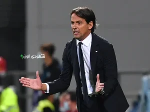 سيمونى إنزاجى
