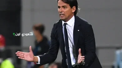 سيمونى إنزاجى