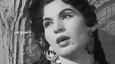 فايزة أحمد والموسيقى العربية تتألق في أوبرا الإسكندرية خلال فعاليات وزارة الثقافة الجديدة