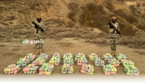 عسير ضبط 200 كيلوغرام من نبات القات المخدر خلال محاولة تهريب على الحدود