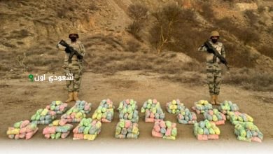 عسير ضبط 200 كيلوغرام من نبات القات المخدر خلال محاولة تهريب على الحدود