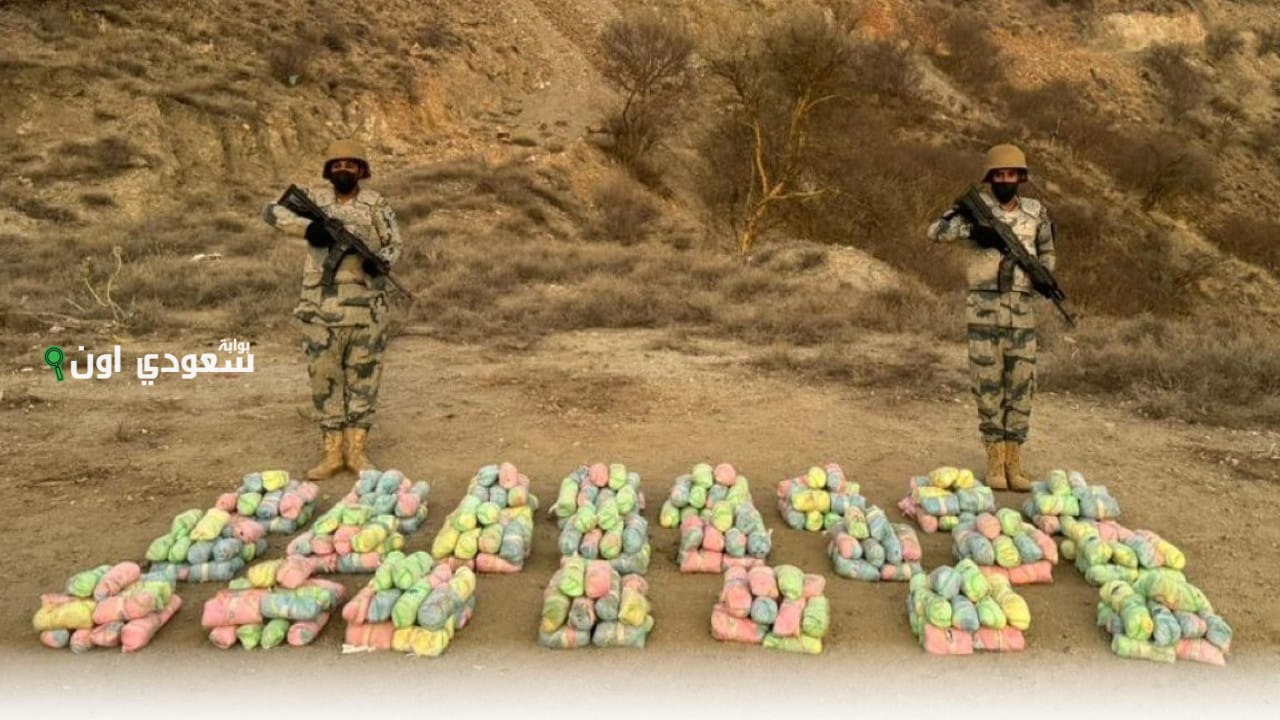 عسير ضبط 200 كيلوغرام من نبات القات المخدر خلال محاولة تهريب على الحدود