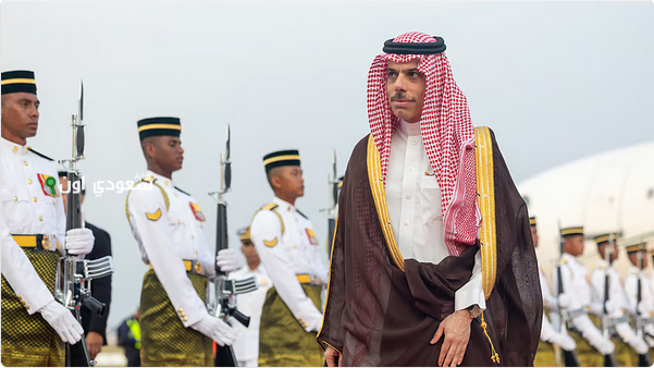 وزير الخارجية يقود وفد