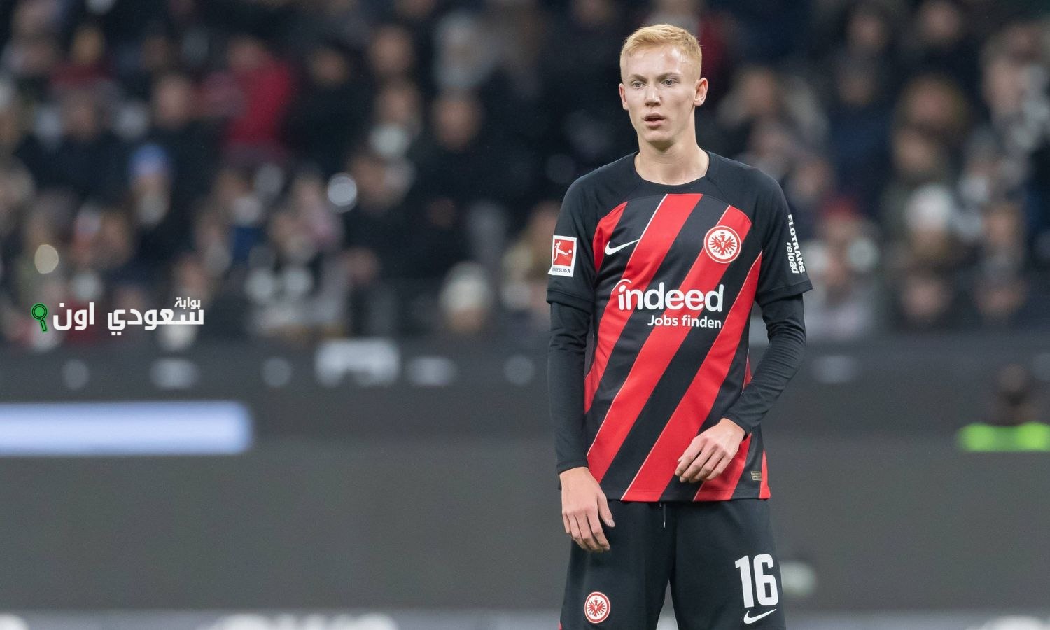 هوجو لارسون