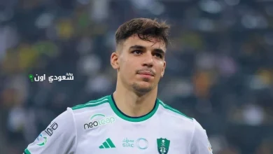 غابرييل فيغا